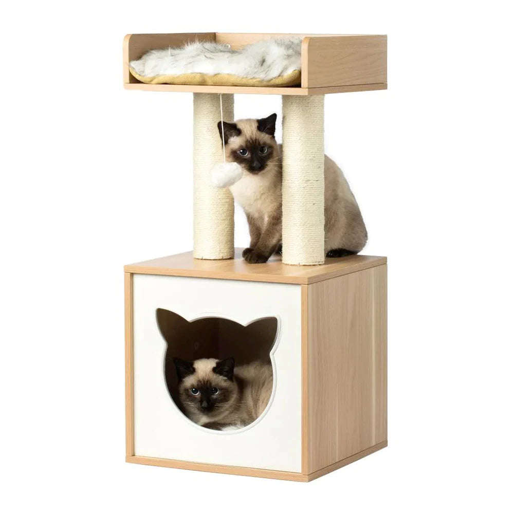 Canin Kitten Cat Pate