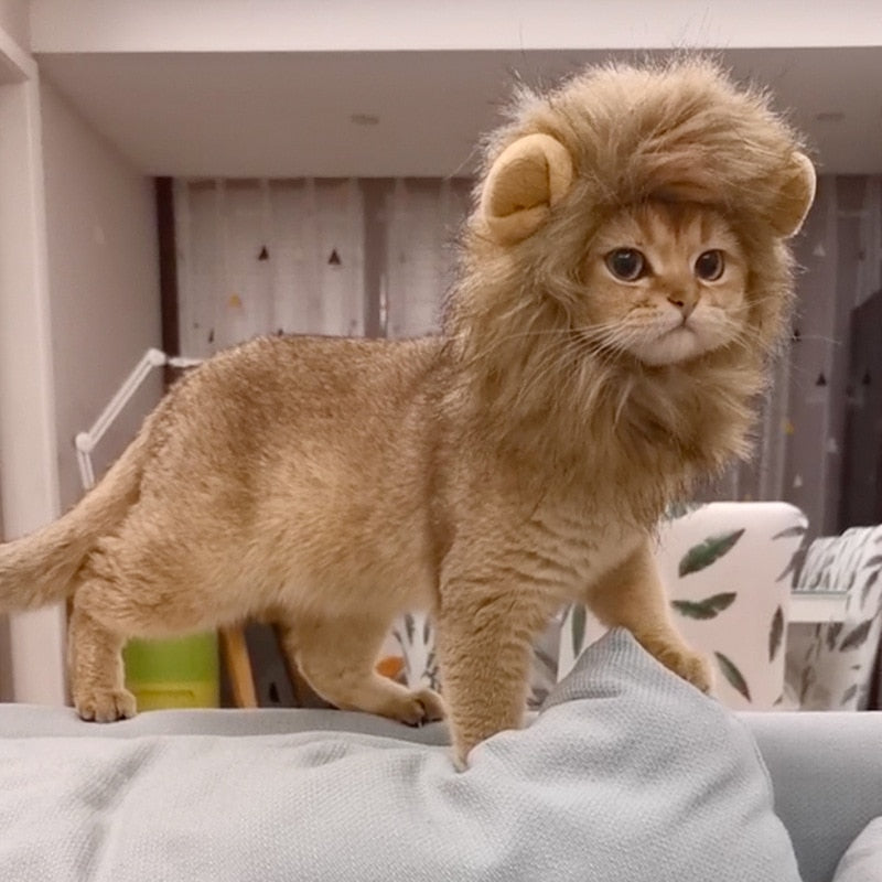 ATUBAN Lion Mane Wig for Dog and Cat Costume Pet Halloween Costume Cat Lion Mane Wig Halloween Outfit Small Dog Lion Hat