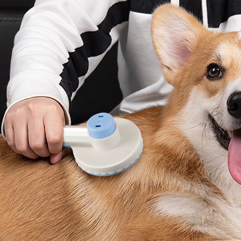 Grooming Pet Hair Remover Brush Cat And Dogs Hair Comb Removes Comb Short Massager Goods For Cats Dog Brush Accessories Supplies