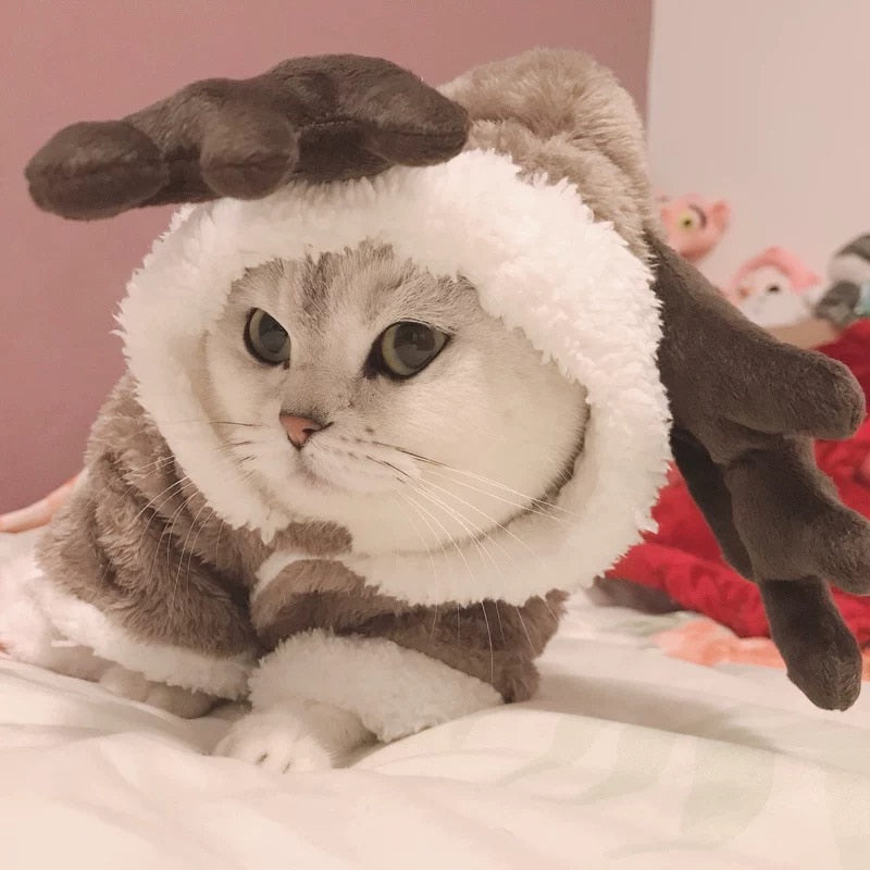 Winter Cat Clothes Warm Fleece Pet Costume For Small Cats Kitten Jumpsuits Clothing Cat Coat Jacket Pets Dog cat clothes funny