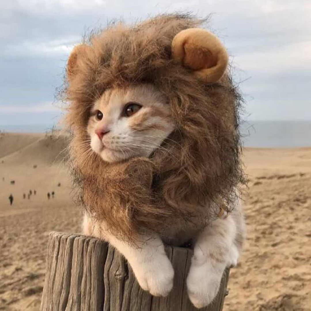 ATUBAN Lion Mane Wig for Dog and Cat Costume Pet Halloween Costume Cat Lion Mane Wig Halloween Outfit Small Dog Lion Hat