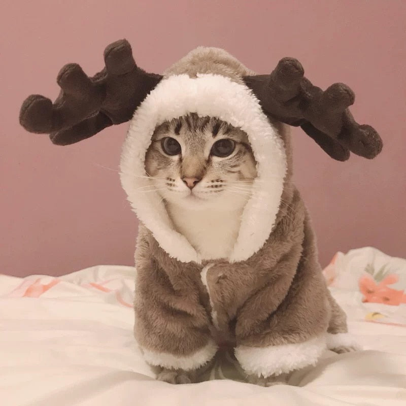 Winter Cat Clothes Warm Fleece Pet Costume For Small Cats Kitten Jumpsuits Clothing Cat Coat Jacket Pets Dog cat clothes funny