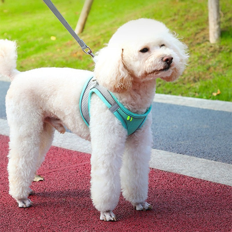 Dog Harness &amp; Leash Set - Summer Dog Harness Super Breathable Mesh Reflective And Anti-Pull Pet Harness Suitable For Outdoor Wal