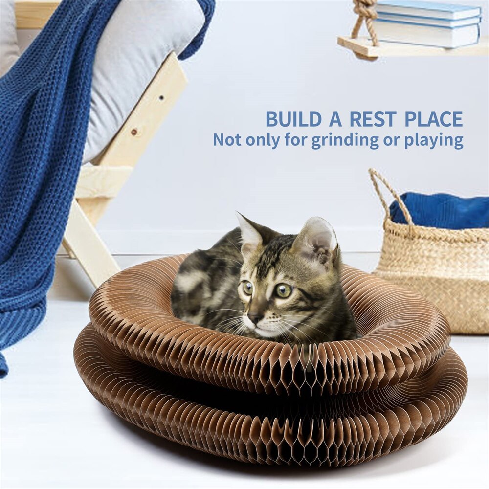 Cat Toys Magic Organ Cat Scratch Board Cat Toy with Bell Cat Grind Claw  Climbing Corrugated Paper Cat Scratch Toy Cat Product