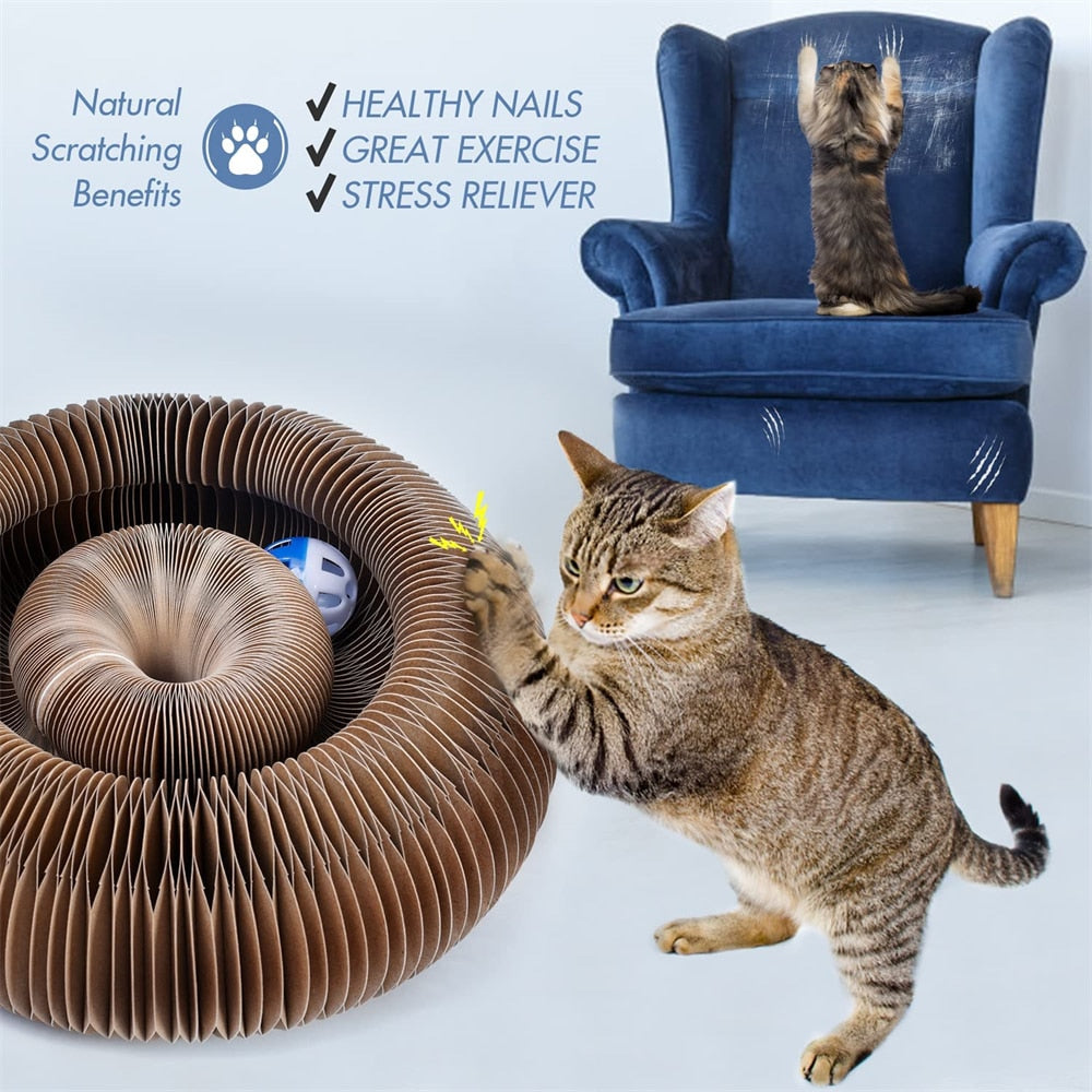 Cat Toys Magic Organ Cat Scratch Board Cat Toy with Bell Cat Grind Claw  Climbing Corrugated Paper Cat Scratch Toy Cat Product