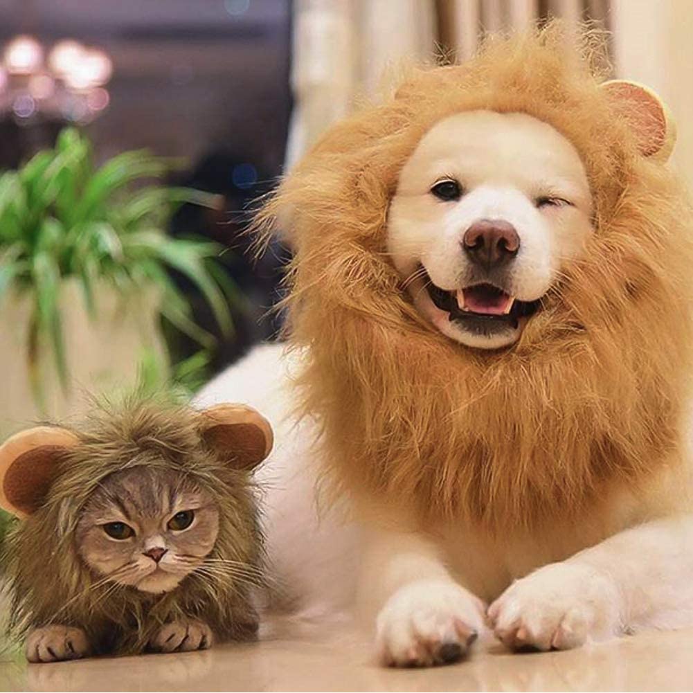 ATUBAN Lion Mane Wig for Dog and Cat Costume Pet Halloween Costume Cat Lion Mane Wig Halloween Outfit Small Dog Lion Hat